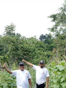 alvapipe dukung petani lokal